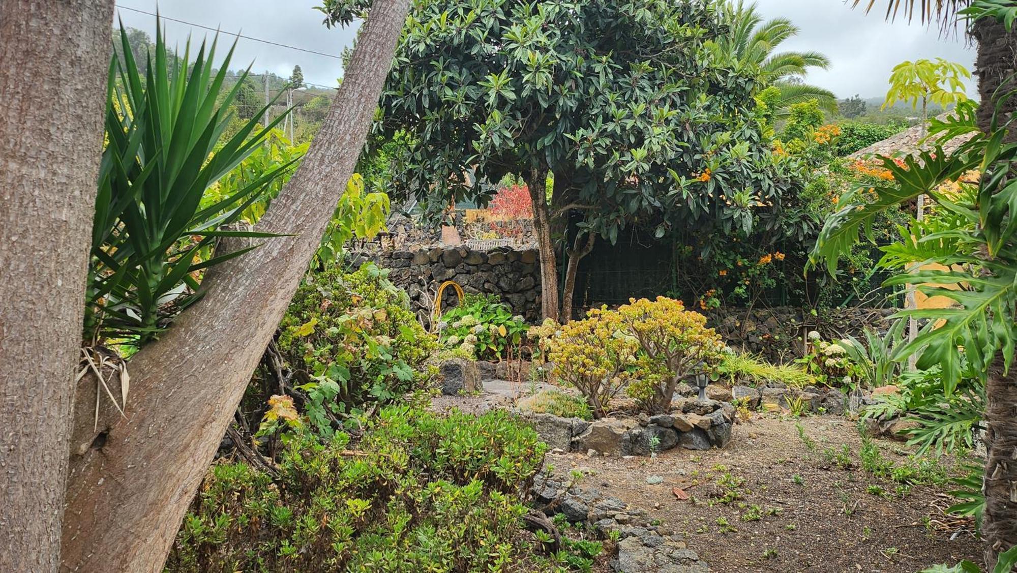 Oasis Hill Botanical Garden Villa Icod De Los Vinos Buitenkant foto