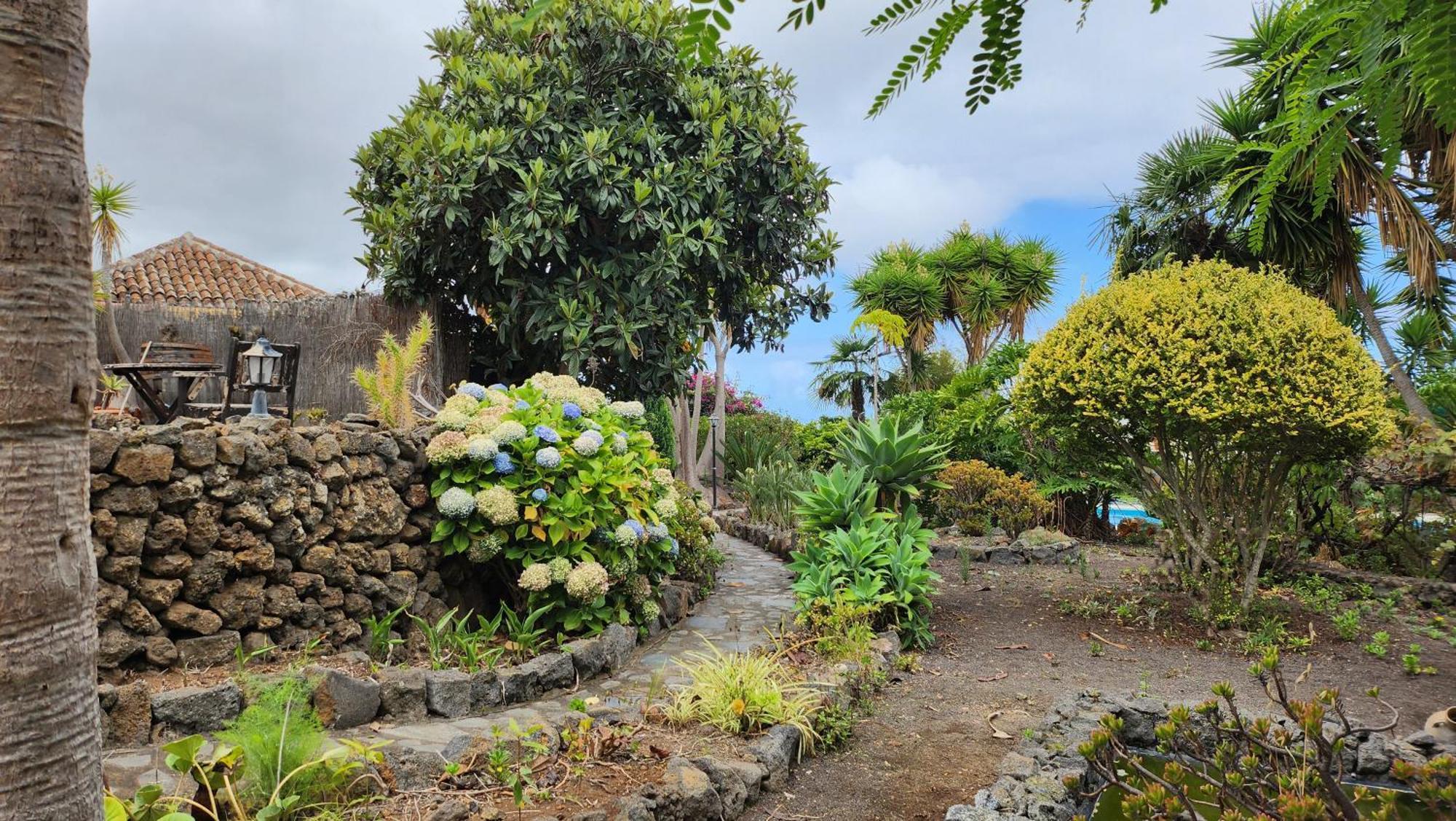 Oasis Hill Botanical Garden Villa Icod De Los Vinos Buitenkant foto