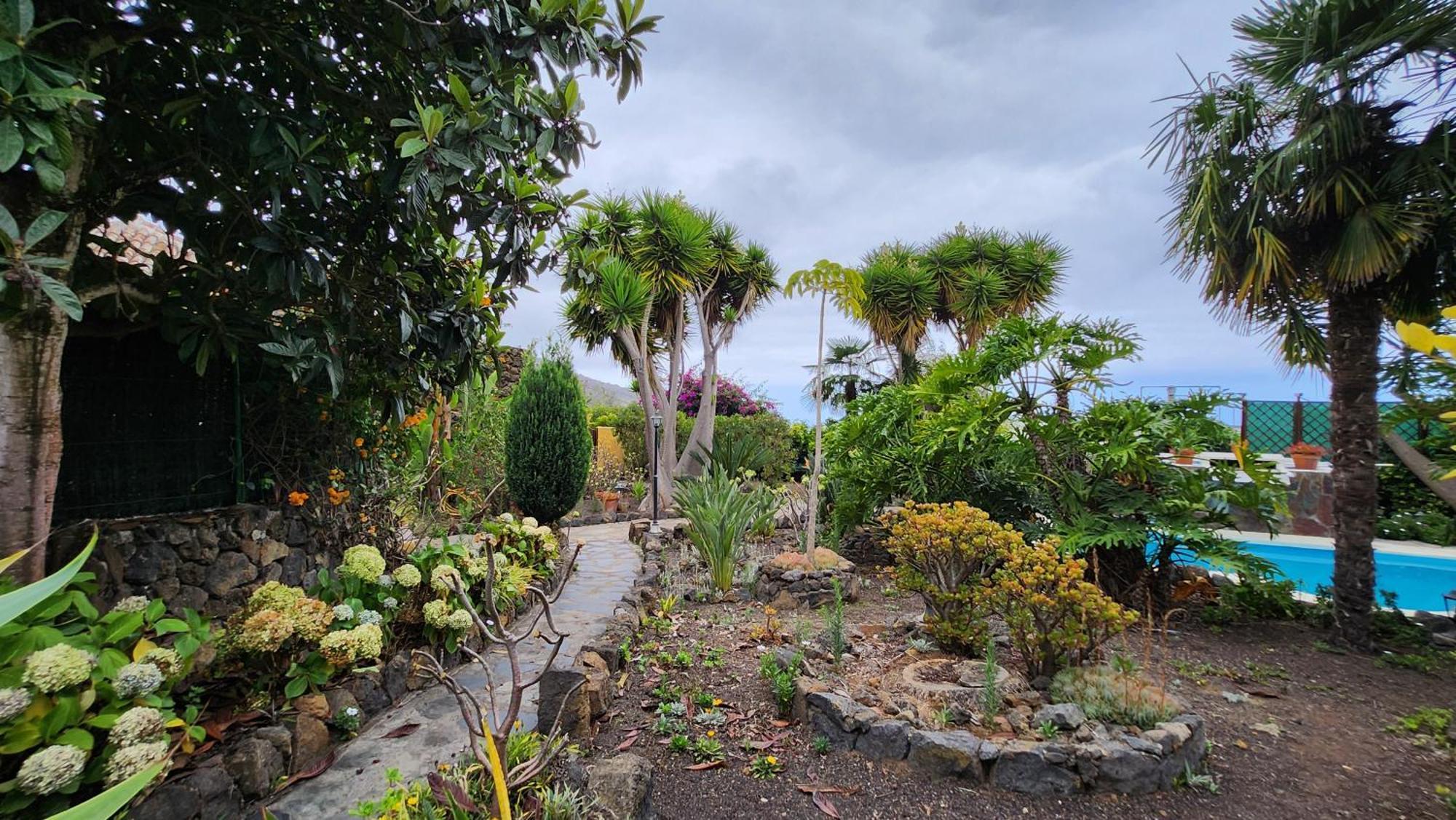 Oasis Hill Botanical Garden Villa Icod De Los Vinos Buitenkant foto