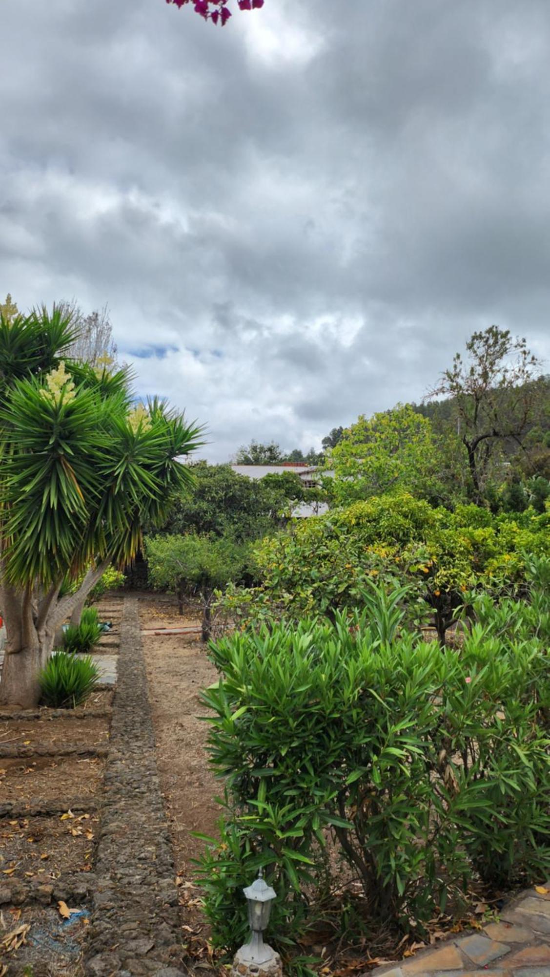 Oasis Hill Botanical Garden Villa Icod De Los Vinos Buitenkant foto